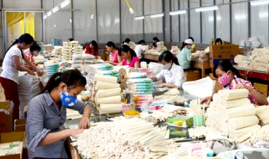 DNNVV vẫn gặp khó khăn trong việc tiếp cận vốn