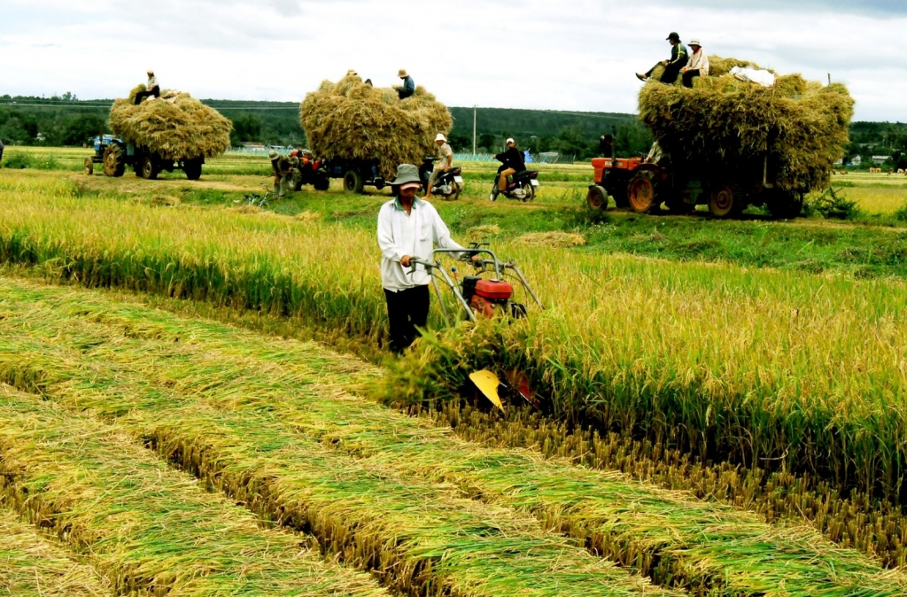 Sẽ miễn thuế sử dụng đất nông nghiệp thêm 5 năm