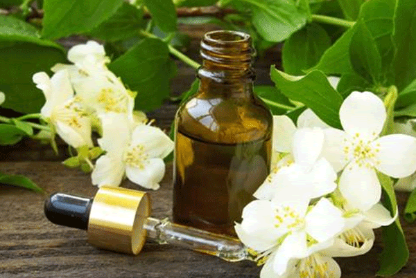 Tinh dầu từ hoa được làm công phu như thế nào?