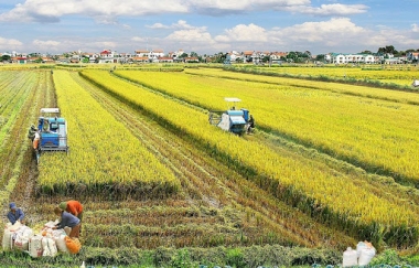 3 nhiệm vụ trọng tâm trong thực hiện Nghị quyết TW7 về nông nghiệp, nông dân, nông thôn