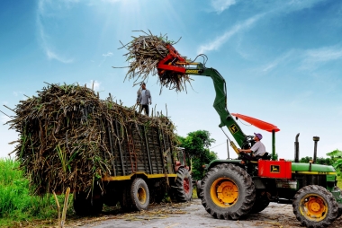 Trước ngày 20/03/2020, báo cáo Thủ tướng Chính phủ về các giải pháp tháo gõ khó khăn cho ngành mía đường