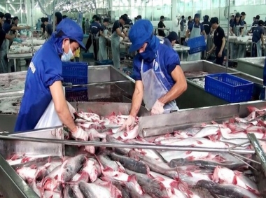 Dịch Covid-19 khiến DN thủy sản sụt giảm từ 35%-50% đơn hàng
