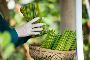 Xu hướng xanh và sạch ảnh hưởng đến các ngành nghề sản xuất tương lai như thế nào?