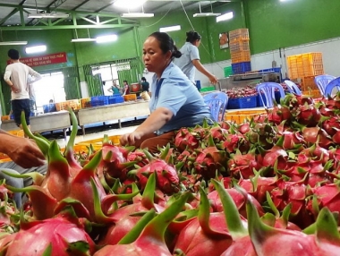 UAE tiếp tục là thị trường tiềm năng đối với doanh nghiệp Việt Nam
