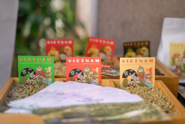 Xây dựng thương hiệu cà phê chất lượng cao Arabica Lạc Dương