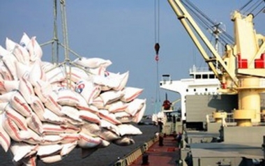 Mất hơn 500 triệu USD do xuất khẩu trong nông nghiệp giảm