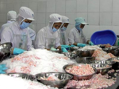 Cấp Chứng thư điện tử cho thủy sản xuất khẩu sang EU