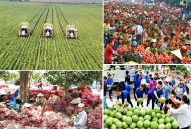 Tiêu thụ nông sản: Đừng chờ đợi từ lòng hảo tâm của cộng đồng