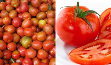 Mẹo hay tránh ngay rau 'ngậm' hóa chất