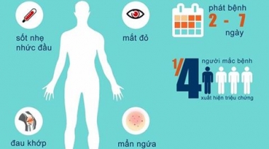 Việt Nam nâng cấp phòng chống dịch bệnh do virus Zika lên mức độ 2