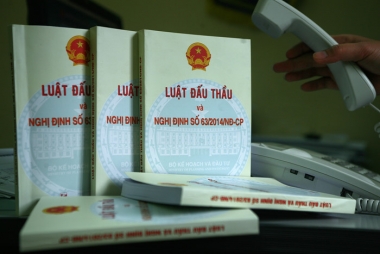 Bộ Kế hoạch và Đầu tư chủ trì, tổ chức kiểm tra hoạt động đấu thầu