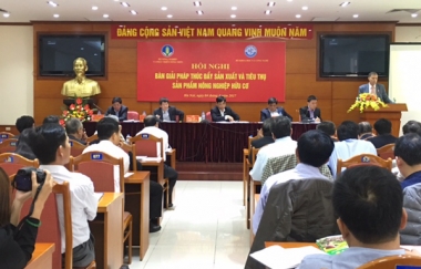 Thúc đẩy sản xuất và tiêu thụ sản phẩm nông nghiệp hữu cơ