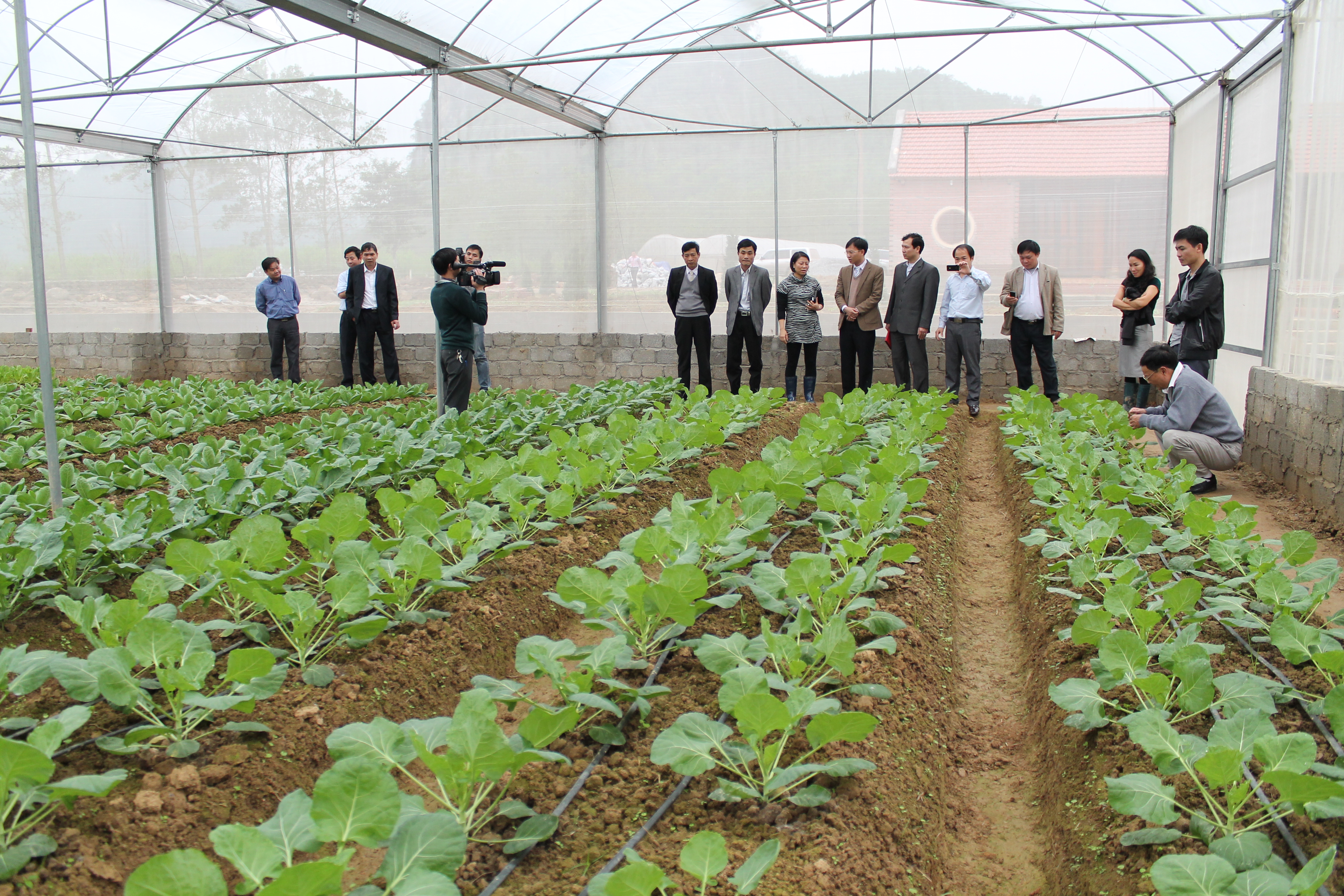Thúc đẩy sản xuất nông nghiệp hữu cơ trong lĩnh vực trồng trọt