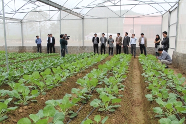 Thúc đẩy sản xuất nông nghiệp hữu cơ trong lĩnh vực trồng trọt