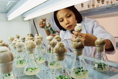 Đến năm 2030, công nghiệp sinh học đóng góp tối thiểu 7% GDP