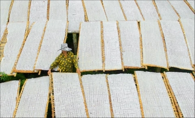 Ghé thăm 4 làng nghề bánh tráng nức tiếng
