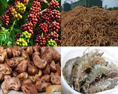 Ảnh hưởng dịch Covid 19, nông, lâm, thủy sản vẫn xuất siêu gần 2,9 tỷ USD