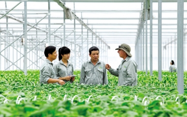 Năm 2020: TP.Hồ Chí Minh sẽ phát triển mới 35 hợp tác xã