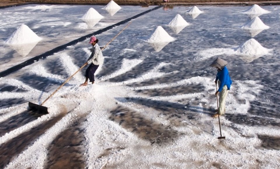 Cổ phần hóa Công ty Muối Việt Nam, Nhà nước vẫn nắm 65% vốn điều lệ