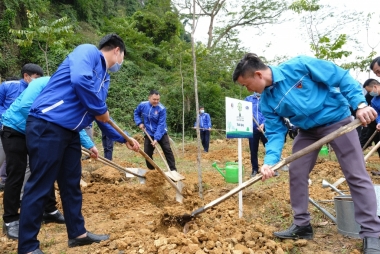 Hiện thực hóa thông điệp "Vì một Việt Nam xanh"