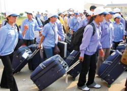 Cần từng bước khôi phục hoạt động xuất khẩu lao động