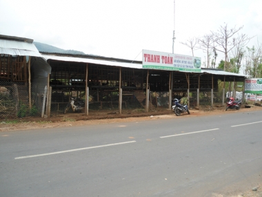 Nơi nuôi dưỡng ước mơ làm giàu