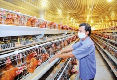 Những mặt hàng nào sẽ chịu sức ép lớn nhất từ TPP?