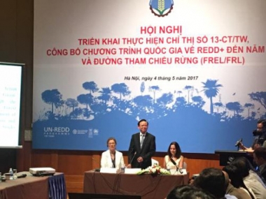 Phấn đấu đến năm 2030 nâng độ che phủ rừng toàn quốc lên 45%
