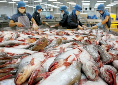 102,2 tỷ đồng nâng cao năng lực cạnh tranh ngành thủy sản