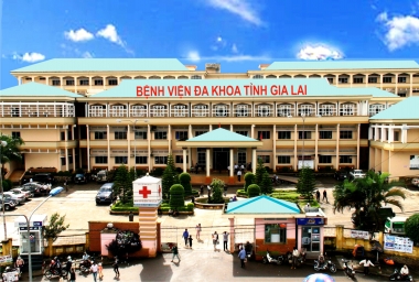 Y tế Gia Lai toàn tâm, toàn lực trong công tác cứu chữa người bị nạn