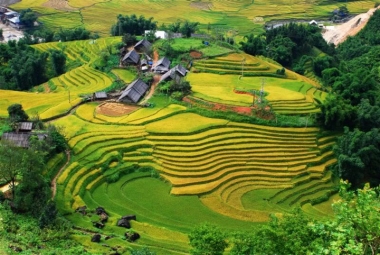Chớ vội thông qua khi còn nhiều lúng túng