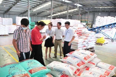 Phạt tới 200 triệu đồng đối với vi phạm hành chính trong lĩnh vực giống vật nuôi