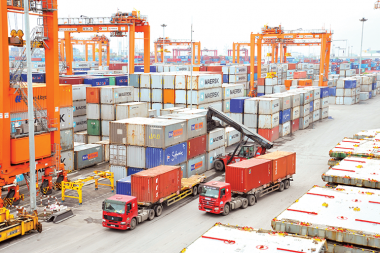 Đảm bảo chất lượng hàng hoá nhập khẩu trước khi đưa ra thị trường