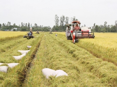 Tăng cường triển khai thi hành Luật Hợp tác xã năm 2012