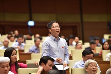 Các trưởng ngành nói gì về DNNN?