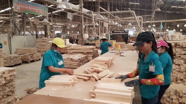 Ngày 01/06/2019, Hiệp định VPA/FLEGT chính thức có hiệu lực