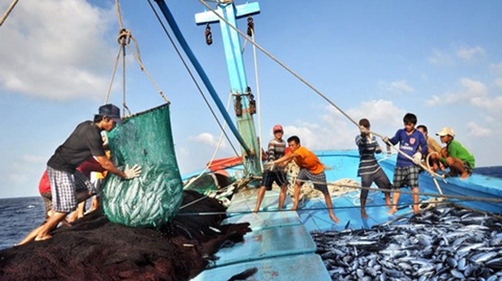 Ban Chỉ đạo quốc gia về IUU chính thức được thành lập