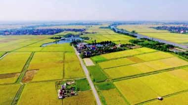 Dự kiến kéo dài thời gian miễn thuế sử dụng đất nông nghiệp đến hết năm 2025