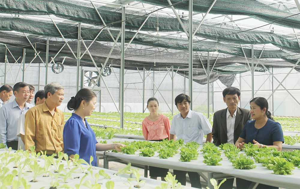 Giao Bộ Kế hoạch và Đầu tư hoàn thiện Kế hoạch phát triển kinh tế tập thể, hợp tác xã