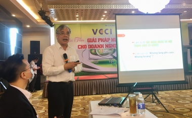 Khả năng đứng dậy sau dịch của nền kinh tế Việt: “Đứng thẳng – bứt phá” hay “Lom khom lối cũ”?