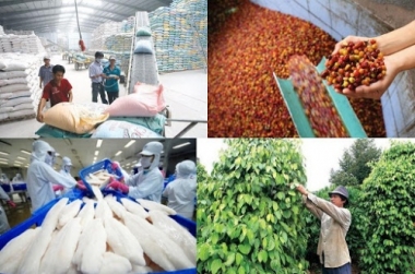 Tháng 4/2021: Cao su, sắn, quế, gỗ, rau quả xuất khẩu tốt