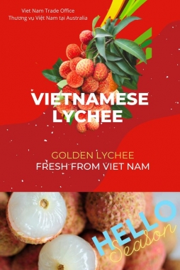 Khoảng 100 tấn vải thiều Việt Nam sắp có mặt tại Úc