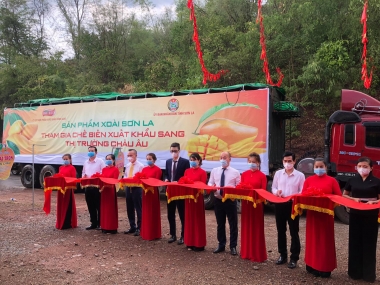 Bộ Công Thương tìm đầu ra cho nông sản Sơn La