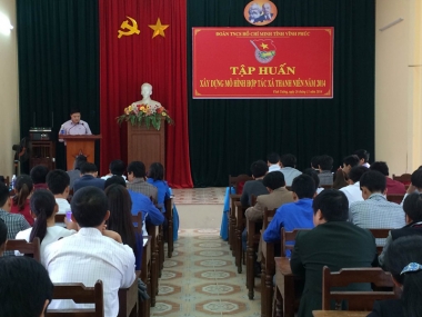 Năm 2015: tiếp tục nhân rộng mô hình thanh niên làm KTTT ở Vĩnh Phúc