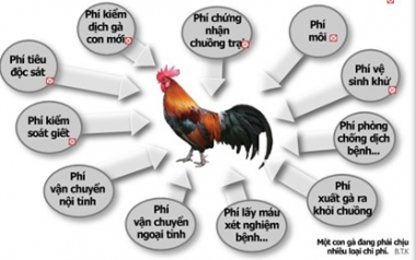 Chủ tịch Quốc hội yêu cầu sửa sai