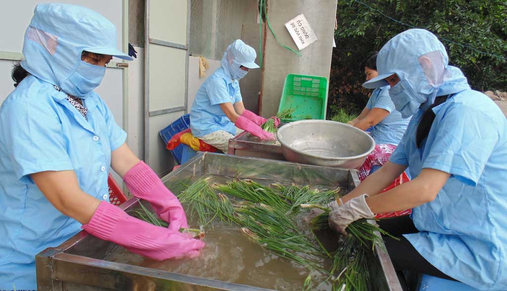 Để nông sản sạch tiếp cận được người tiêu dùng