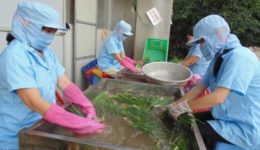 Để nông sản sạch tiếp cận được người tiêu dùng