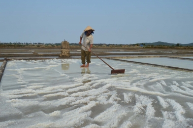 Giá muối giảm: diêm dân lao đao
