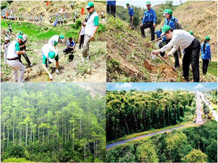 Việt Nam đang đứng trước nguy cơ cao trở thành bãi thải công nghệ