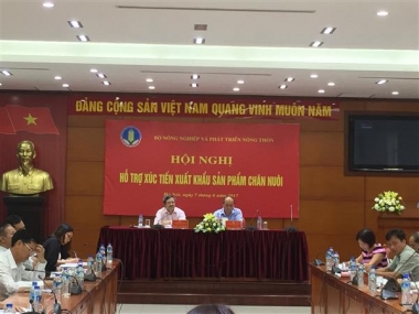 Hỗ trợ doanh nghiệp xúc tiến xuất khẩu sản phẩm chăn nuôi
